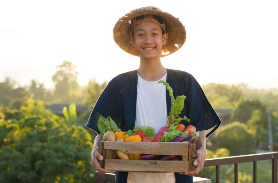 Mengenal Sistem Kebun Talun Sebagai Metode Perkebunan Bagus