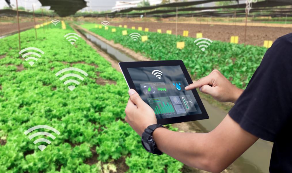 Inovasi Smart Farming dengan Kehebatan Kecerdasan Luar Biasa